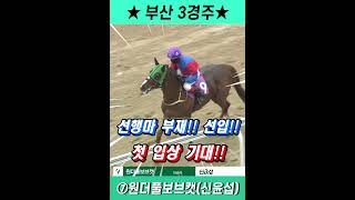 [4월15일 금요경마] 배당나올 삼복승 추천마#Shorts