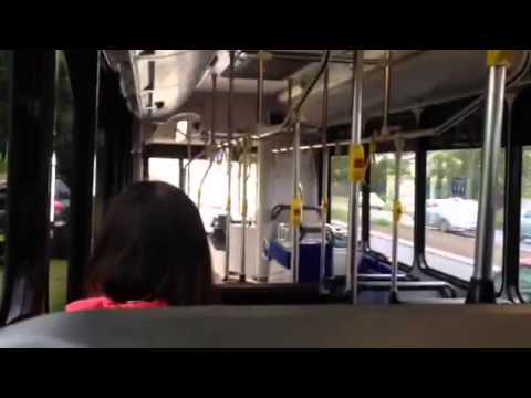 Forest Coach Lines m/o 9495 - Mercedes-Benz O500LE (ZF Ecomat)