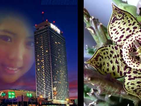 Júlio Guimarães  -  saudade de alguém,,,   (tango)