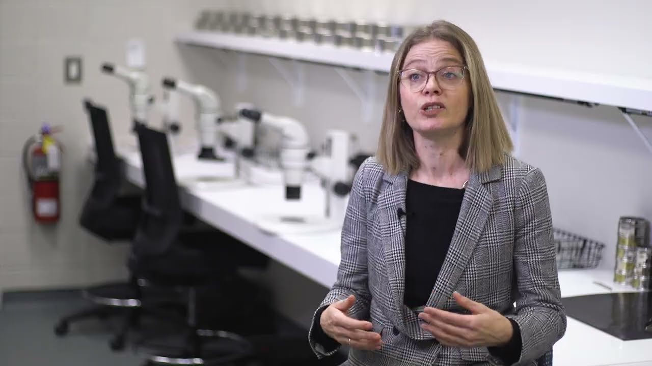 How SRC Can Help Companies Use Sensor-Based Sorting Solutions