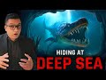 How Deep Is The Ocean Why Are Oceans Is Still Unexplored