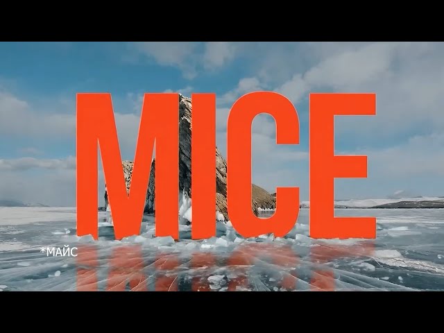 На Байкале дан старт деловому альянсу