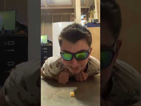 POV: Normal Rat in Ohio
