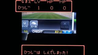 スターホース4【GR史上最大獲得枚数発生！！】