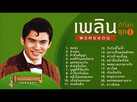เพลิน พรหมแดน ดีที่สุด 21 เพลง (เลือกเพลงฟังได้) #แม่ไม้เพลงไทย