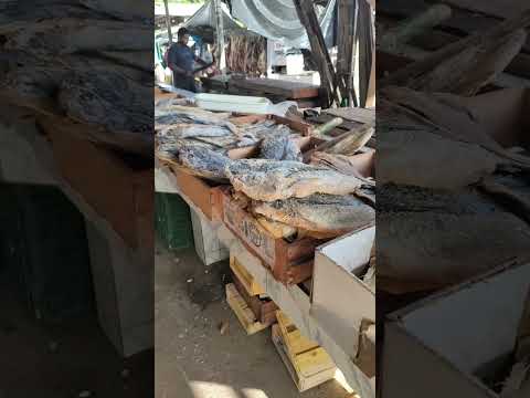 Feira livre de #gandu #bahia