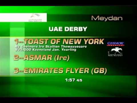 Keeneland Sales Grad Spotlight: Toast of New York