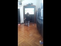 Jordan Dancing 2 Sesame Street