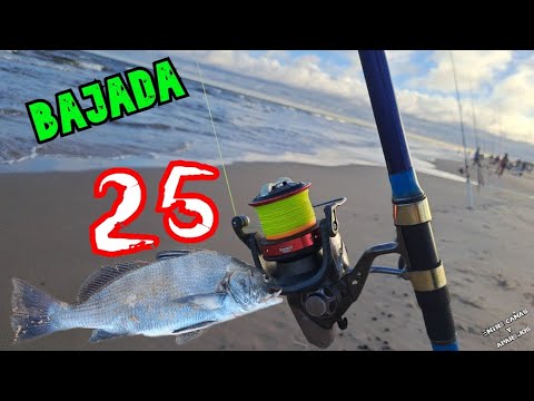 Buscando TAMBERAS en la Bajada 25 🎣🧉//Solymar, Canelones,Uruguay 🇺🇾// @entrecanasyaparejos2396