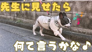 新しい洋服が届いたので早速お出かけしました！