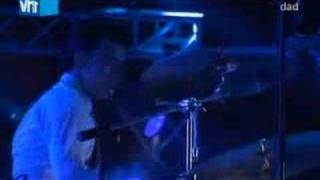 D-A-D Roskilde 05: Soft Dogs