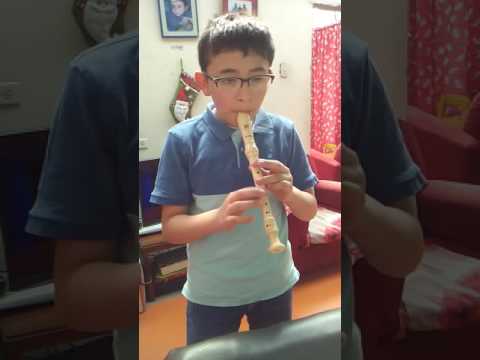 Wrecking Ball - Miley Cyrus en flauta dulce con NOTAS