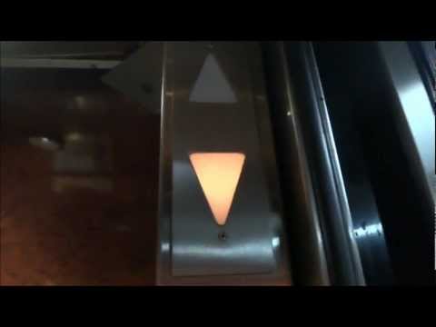 BOOOOOOOP! BOOOOOOOP! INSANELY Loud Elevator Chimes!