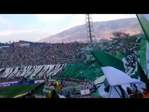 "Salida Atlético Nacional e himno antioqueño!" Barra: Los del Sur • Club: Atlético Nacional • País: Colombia