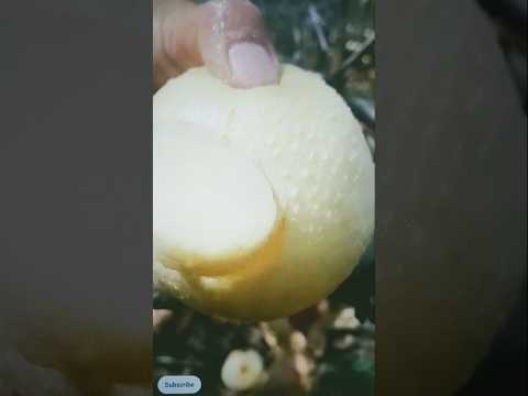 ##these fresh fruits are tasty and healthy#🍓🍒🍅🍅🍉🍉