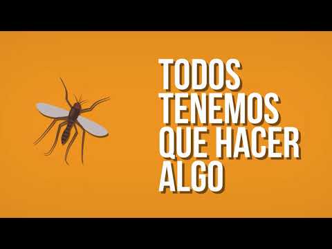 Prevención contra el Dengue, Zika y Chikungunya - Municipalidad de Colonia Almada