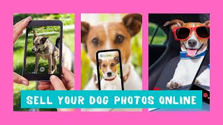 Sell Your Dogs Photographs Online