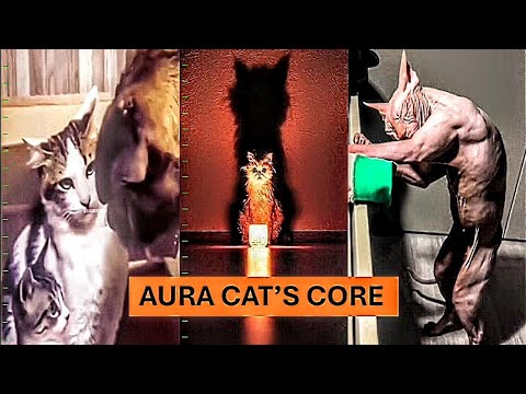 AURA CAT'S CORE (COMPILATION) #aurafarming #cats #funny