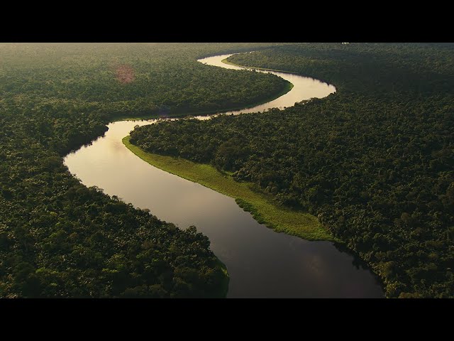 Why Protecting the Congo Basin Matters