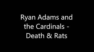 Death and Rats by Ryan Adams &amp; The Cardinals