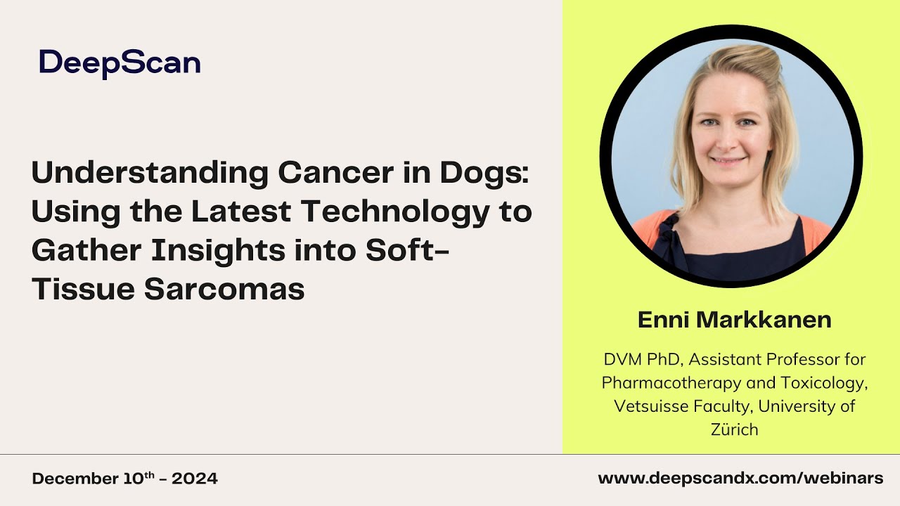 Understanding Cancer in Dogs: Using the Latest Technology to Gather Insights into Tissue Sarcomas