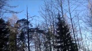 Elokuva I'm a fool to want you