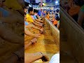 Lo Sambhalo Bhole Apni Kawar Pagli Shortvideo Viralvideo Viralshorts Youtubeshorts Shorts
