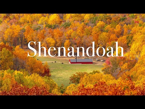 Autumn Splendor: A Scenic Tour of Skyline Drive in Shenandoah National Park, 2023