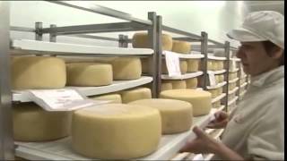 COOPERATIVA FATTORIA DELLA PIANA SOCIETA' AGRICOLA