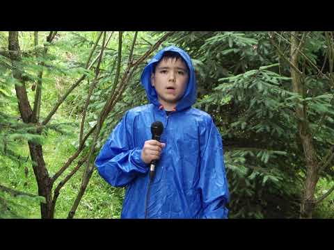 Luca Burlacu, prezintă vremea în Tabăra TV Dicție.ro