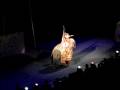 RINGLING ELEPHANTS 1