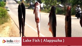 A Roadside vendor in Alappuzha
