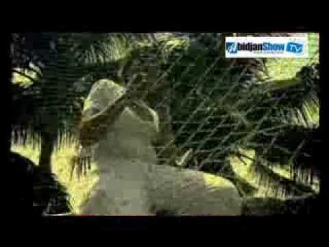 Rose Sabine   On est resté debout