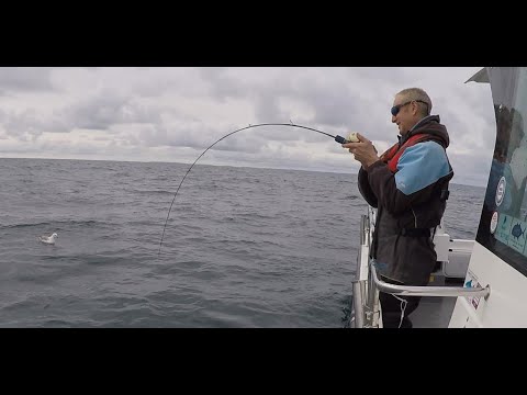 Slow Pitch Jigging Techniques Part 1A the U.K south coast boat angling, wreck fishing with slow jigs