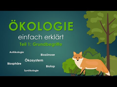 1. Grundbegriffe | ÖKOLOGIE einfach erklärt