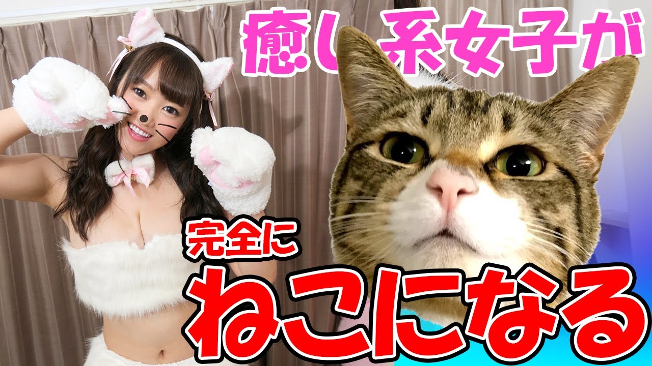 【悶絶注意】癒し系美少女がネコになりきる動画がクッソかわいい【若宮穂乃さん】world cute girl cat