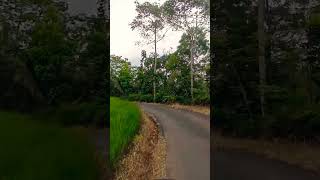 Download lagu melangkah - Yudin Nawir #travel #travelling mp3