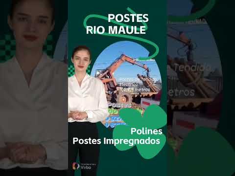 POSTES RIO MAULE #polines #postes #cabezales #chile #viral #rioclaro #videos