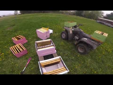 Lyson Bee Hive Deployment