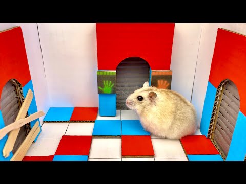 Hamster Escape: Hamster Got Hunted By Baby Long Legs | Poppy Playtime Chapter 2