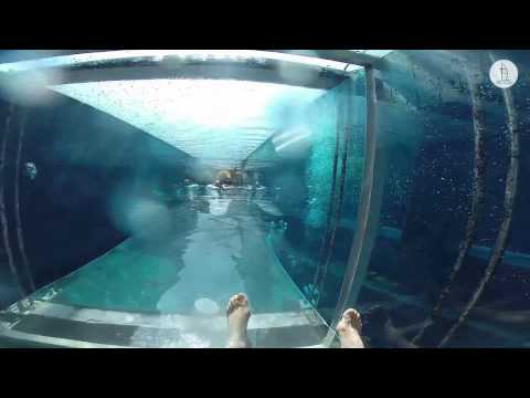 Аквапарк Aquaventure - аттркацион Shark Attack