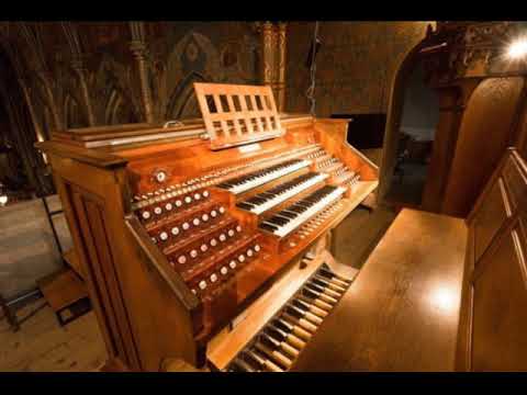 Josef Bohuslav Foerster - Fantasie C dur