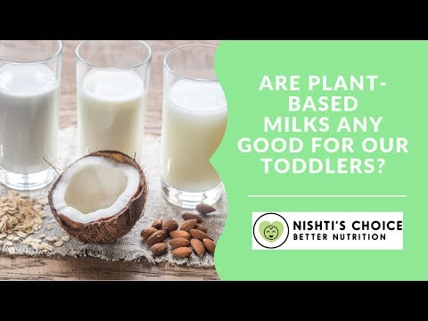 Non Dairy Milks For Infants & Children | Myth Busting