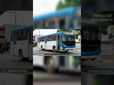 Fim Da Tng - Transportes Novo Gama #shorts #shortsviral