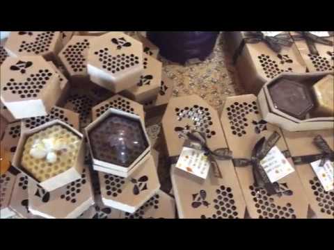 Apicultura Bonito - Video 1 -  O EVENTO