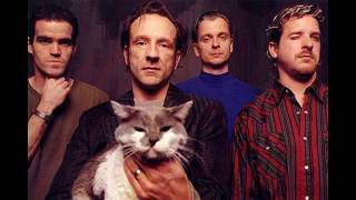 The Jesus Lizard - Swing Set