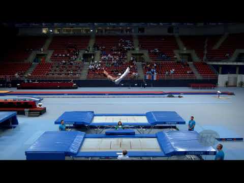 SWADLING Shaun (AUS) - 2017 Trampoline Worlds, Sofia (BUL) - Qualification Trampoline Routine 1
