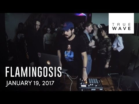 Flamingosis live set | 1.19.17 | Truewave TV