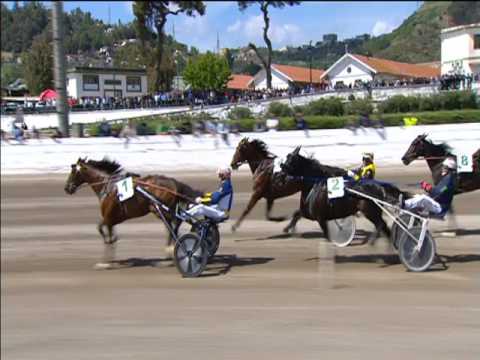 Trotto 01/05/2017 - 3ª corsa - 1ª batteria