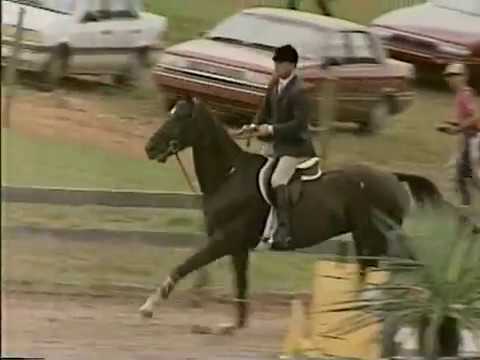 horseback battle news on whtm 27